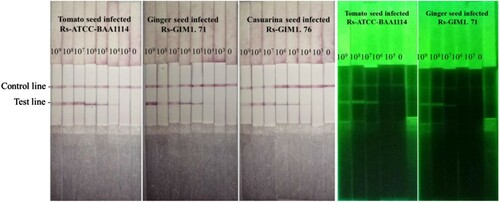 Figure 6. Detection of seed of practical sample by the LFICS.