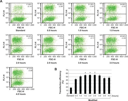 Figure 3 Optimization of the incubation time for transfection. Cell line: Hep G2. Plate: six-well format. Complex: polyethyleneimine (PEI)/pEGFP-C1. Standard: standard transfection. 0.5–4.0 hours: different incubation time in the modified transfection cases with 700 μL transfection complex. (A) Transfection efficiency analyzed by fluorescence-activated cell sorting 48 hours after transfection. (B) Comparison of the transfection efficiency.Note: *P<0.05 versus others except 3.0 hours (1.5 hours vs 3.0 hours: P>0.05).
