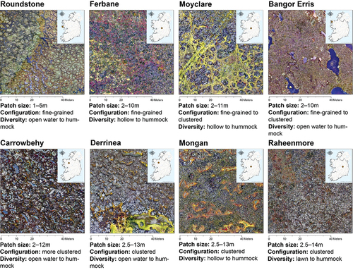 Figure 1. Study area maps showing the characteristic vegetation patterns in the central area of each of the eight Irish ombrotrophic peatlands that were investigated in this study as seen from a drone-derived true-color orthomosaic at 120 m altitude.