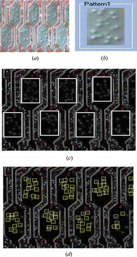 Figure 4 (a) ACF inspection image. (b) Target template. (c) Comparison result of block target template. (d) Comparison result of conducting particles (color figure available online).