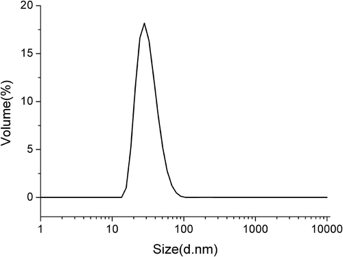 Figure 3. Size distribution of prepared astaxanthin-loaded liposomes. The study was performed immediately after the preparation.Figura 3. Distribución por tamaños de los liposomas llenos de astaxantina preparados. El estudio se realizó inmediatamente después de la preparación.