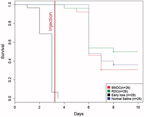 Figure 4. Kaplan–Meier curve of mouse survival after cell rescue therapy.Injection of 106 BMDC, 106 renal cells or of an equal volume of normal saline was performed three days after cisplatin injection. No difference in survival was found between the groups (log rank test, p = 0.369).
