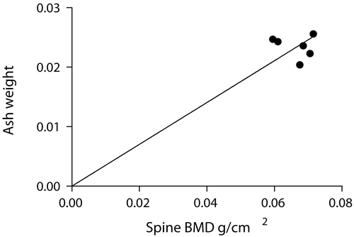 Figure 8.  Ash weights versus whole body lumbar spine BMDs.