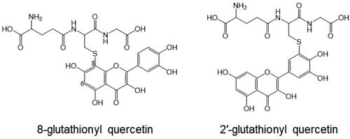 Figure 4. Structure of quercetin-glutathione conjugates.