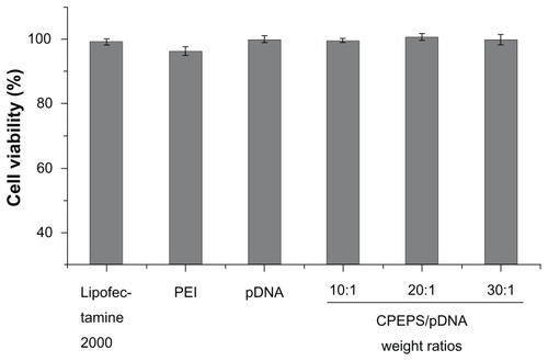 Figure 8 Cytotoxicity assay. From left to right: Lipofectamine™ 2000; polyethylenimine (25 kDa); free plasmid; CPEPS-pTGF-β1 nanoparticles with CPEPS/pTGF-β1 weight ratios of 10:1, 20:1, and 30:1.Note: The values are the means ± standard error of the mean of three experiments.Abbreviations: CPEPS, cationized Pleurotus eryngii polysaccharide; PEI, polyethylenimine; pTGF-β1, plasmid encoding transforming growth factor beta-1.