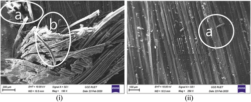 Figure 8. Morphological view of the [30 ∘j/G/G/30∘j] orientation; (i) (a) delamination and (b) glass fibers pull-out and misalignment; (ii) (a) debris.