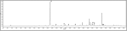 Figure 1. Chromatogram of alcohol extract of quince Chaenomeles japonica leaf sample investigate (λ = 280 nm)