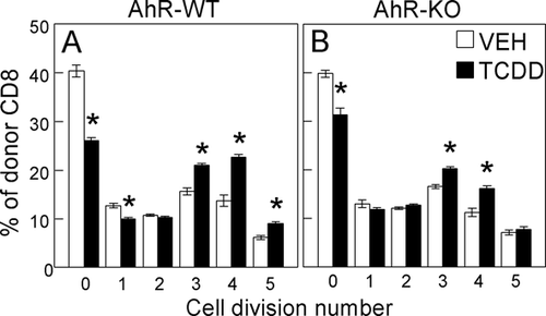 FIG. 6 Exposure to TCDD enhances cell division of donor CD8+ cells independent of AhR. F1 mice were dosed with vehicle or TCDD one day before the injection of CFSE-labeled AhR-WT (A) or AhR-KO (B) donor T-cells. On Day 2, the cell division of donor CD8+ cells in the spleen was measured by flow cytometry. The data shown are representative of five independent experiments; n = 4 mice per group. *p < 0.02, compared to vehicle.