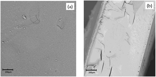 Figure 6. Morphology and components of char residue of P-PSA co-polymer: (a) exterior and (b) interior.