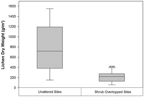 FIGURE 6. A comparison of lichen biomass (g/m2) at sites dominated by lichen in both 1980 and 2013 (Unaltered Sites) with sites dominated by lichen in 1980, but overtopped by shrubs by 2013 (Shrub Overtopped Sites). The solid black line inside the box represents the median value, the ends of the boxes represent the 25th and 75th percentiles and the whiskers show the 10th and 90th percentiles. The asterisks denote a significant difference (P < 0.001) in lichen biomass between site types.