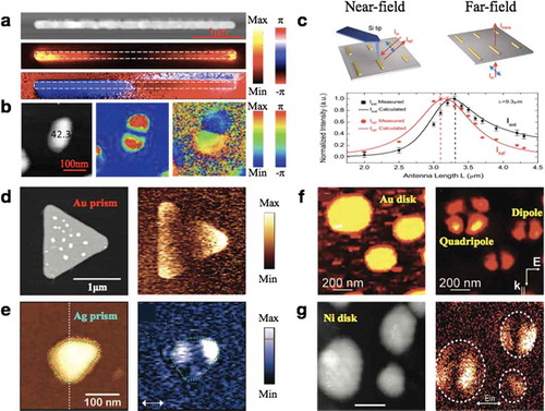 Figure 5. Near-field distribution around single metallic antennas in mid-infrared and visible range. (a) Near-field amplitude and phase of linear gold antenna with the incident wavelength at 11.06 μm [Citation57]. Scale bar, 1 μm. (b) Near-field amplitude and phase of gold nanorod structure with the incident wavelength at 632.8 nm [Citation65]. Scale bar, 100 nm. (c) Spectral shift between near- and far-field peak intensity of infrared gold antenna [Citation66]. (d) Near-field amplitude of gold triangle nanostructure with incident wavelength at 9.6 μm [Citation48]. Scale bar, 1 μm. (e) Near-field amplitude of silver nanoprisms with incident wavelength at 633 nm [Citation55]. Scale bar, 100 nm. (f) Near-field amplitude of gold nanodisks with incident wavelength at 875 nm [Citation56]. Scale bar, 200 nm. (g) Near-field amplitude of magnetic nickel nanodisks with incident wavelength at 633 nm [Citation67]. Scale bar, 100 nm. (a) Reproduced with permission [Citation57]. Copyright 2015, Wiley-VCH. (b) Reproduced with permission [Citation65]. Copyright 2014, American Chemical Society. (c) Reproduced with permission [Citation66]. Copyright 2013, American Physical Society. (d) Reproduced with permission [Citation48]. Copyright 2010, American Chemical Society. (e) Reproduced with permission [Citation55]. Copyright 2008, American Chemical Society. (f) Reproduced with permission [Citation56]. Copyright 2008, American Chemical Society. (g) Reproduced with permission [Citation67]. Copyright 2011, American Chemical Society.