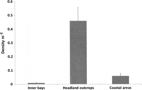 Figure 2  Mean density m−2 of Australostichopus mollis for transect cluster groupings by location type along a 2.5-km stretch of coast using two-step cluster analysis (mean±SEM).