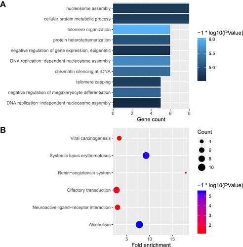 Figure 7 Functional enrichment analysis of DEGs between different seizures presentations in lower-grade gliomas. (A) GO enrichment analysis of DEGs between different seizures presentations in lower-grade gliomas. (B) KEGG pathways of DEGs between different seizures presentations in lower-grade gliomas.