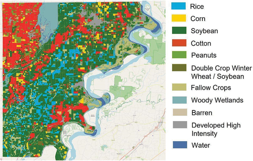 Figure 3. The 2019 USDA cropland data layer for Mississippi County, Arkansas with a legend of the available crop and land cover types.