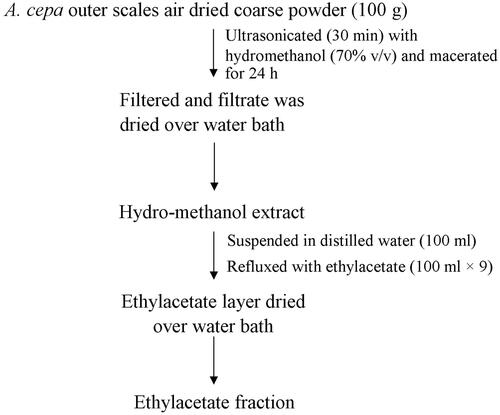 Figure 1. Preparation of ethylacetate fraction from A. cepa outer scales.
