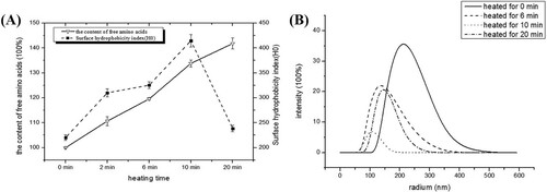 Figure 4. The aggregation and degradation of rAra h 1. (A) The content of amino acids and surface hydrophobic index of raw and heat-treated rAra h 1s. (B) The molecular size of raw and 6-, 10-, 20-min heat-treated rAra h 1.