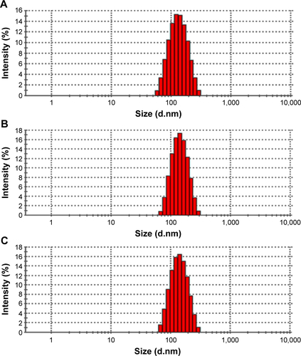 Figure S3 Particle size distribution of the nanoparticles.Notes: Particle size distribution of the black NP (A); EGF-NP (B); and Cur-NP (C).Abbreviations: NP, nanoparticle; Cur, curcumin; EGF, epidermal growth factor.