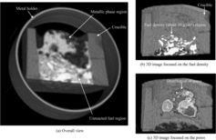 Figure 4. 3D images of the specimen.