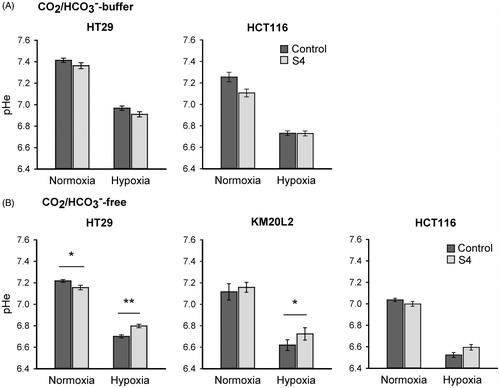 Figure 2. Extracellular pH (pHe) measurements in cell culture media from HT29, KM20L2 and HCT116 cells, after 24-h treatment with 100 µM S4 under either normoxic (21% O2) or hypoxic (0.2% O2) conditions. Cells were incubated in either -buffered media (A) or -free media (B). Data represent the mean ± SD of the mean of minimum three independent experiments (*p < 0.05 and **p < 0.001).