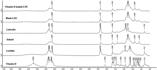 Figure 3. FTIR spectra for vitamin D loaded LNC, blank LNC, Labrafac, Solutol, lecithin, and vitamin D.