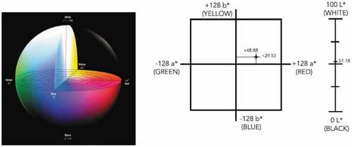 Figure 1. CIE L*a*b* color space: source: Konica Minolta.