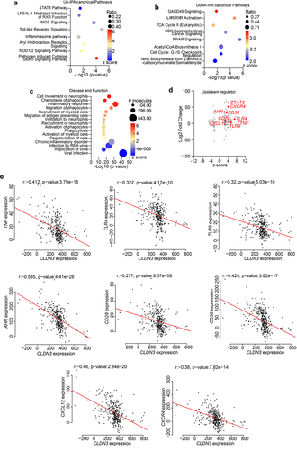 Figure 10. Microbiome associated signaling is altered in IBD and corelates with CLDN3 expression.