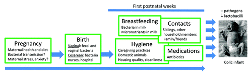 Figure 2. Major factors affecting a full-term infant’s microbial colonization of the gut in the first weeks of postnatal life.