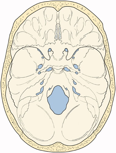 Figure 15. Abigail De Rancourt De Mimérand – 2D illustration of the base of the skull showing the cranial foramina. Taken from a website on the Anatomy of the Nervous System.