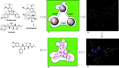 Figure 1. The pharmacophore model of three active fragments.