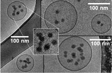 Figure 7. Cryo-TEM images of SNPs internalised within a vesicle. The Cryo-TEM images and magnified detail show the presence of a full lipid bilayer coverage on the SNP surface as a result of the engulfment process.