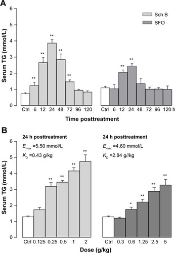 Figure 6 Time- and dose-response relationship of Sch B- and SFO-induced changes in serum TG level.