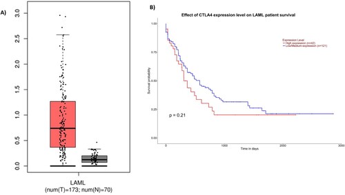 Figure 1. A, Expression of CTLA-4 in blood of AML patients (red) and normal blood (black). Each bar indicates the average level of expression of CTLA-4. Data were obtained from the GEPIA database were extracted (http://gepia.cancer-pku.cn). B: Kaplan-Meier analysis obtained plot from in the UALCAN database (http://ualcan.path.uab.edu/).