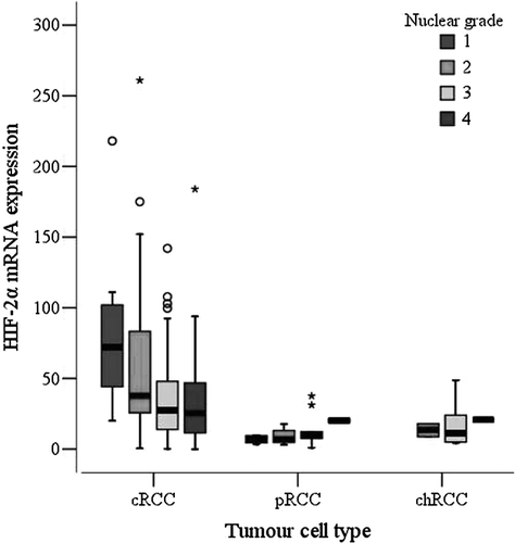 Figure 2.  Box-and-whisker plot of relative HIF-2α mRNA levels in relation to nuclear grade (NG) in 168 cRCC, 23 pRCC, and 11 chRCC (cRCC: NG1 = 8, NG2 = 33, NG3 = 90, NG4 = 37; pRCC: NG1 = 4, NG2 = 8, NG3 = 9, NG4 = 2; chRCC: NG1 = 0, NG2 = 2, NG3 = 8, NG4 = 1). Trend for HIF-2α mRNA and nuclear grade 1-4 in cRCC (p = 0.006, Kruskal-Wallis test). Circles and asterisks represent outlying values.