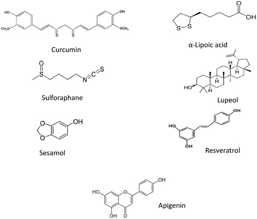 Figure 2. Chemical structure of curcumin, α-lipoic acid, sulphoraphane, lupeol, sesamol, resveratrol and apigenin.