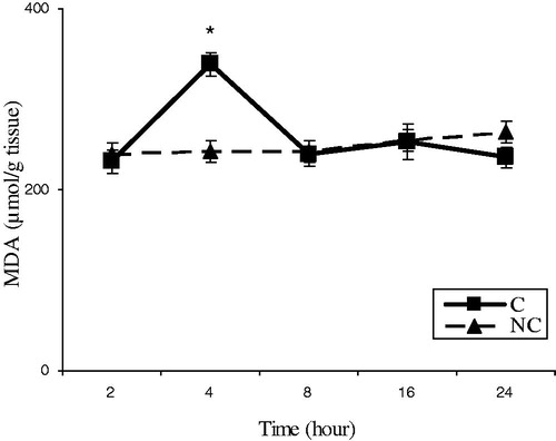 Figure 1. Time-course changes in LP levels in rats treated with APAP compared to negative controls. In the control group (C), APAP (500 mg/kg bw) dissolved in 400 μl DMSO was i.p. injected. Data are mean ± S.E.M. of five samples obtained from five animals in each group. *Significantly different from the respective negative control group (p < 0.05).