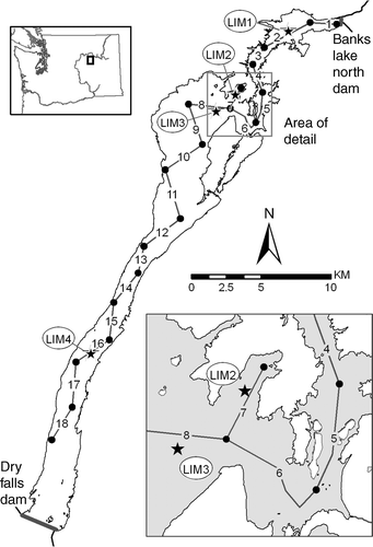 Figure 1. Map of Banks Lake, Washington showing locations of hydroacoustic transects (1–18) in May and July of 2002. Stars indicate limnological sites Lim1 to Lim4. Area of detail shows Devil's Lake embayment where Lim2 and hydroacoustic transect 7 were located.