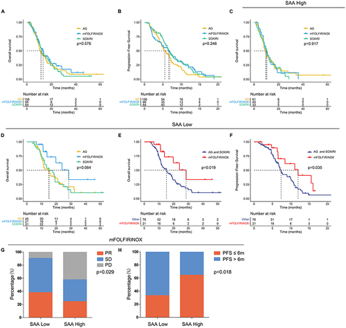 Figure 5 Association between baseline SAA and chemotherapy response. (A) No significant difference in OS among the three chemotherapy regimens (11.2 months vs 13.5 months vs 12.1 months, p = 0.576). (B) No significant difference in PFS among the three chemotherapy regimens (5.5 months vs 6.6 months vs 6.9 months, p = 0.246). (C) No significant difference in OS among the three chemotherapy regimens in patients with a high SAA (9.5 months vs 10.0 months vs 10.5 months, p = 0.917). (D) Patients received mFOLFIRINOX with a low SAA had a longer median OS than the other two, but there was no statistical significance (28.5 months vs 15.0 months vs 15.1 months, p = 0.064). (E) Comparison between two groups, patients received mFOLFIRINOX with a low SAA had a significantly longer median OS than those received AG or SOXIRI (28.5 months vs 15.1 months, p = 0.019). (F) Comparison between two groups, patients received mFOLFIRINOX with a low SAA had a significantly longer median PFS than those received AG or SOXIRI (12.0 months vs 7.4 months, p = 0.035). (G). In patients received mFOLFIRINOX, PD (9.5%), SD (52.4%) and PR (38.1%) in the low SAA group, and PD (42.2%), SD (33.3%) and PR (24.4%) in the high SAA group, (p=0.029). (H). In patients received mFOLFIRINOX, 66.7% patients with a low SAA had a PFS>6 months, 35.6% patients with a high SAA had a PFS>6 months, (p=0.018).