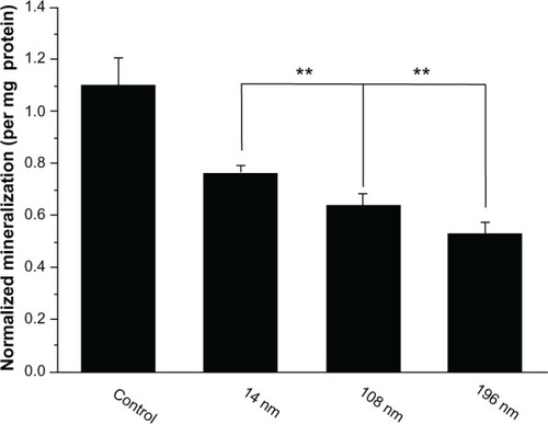 Figure 8 Quantification of cell mineralization. Mesenchymal stem cells were cultured without (control) or with different TiO2 particles (0.10 mg/mL) for 15 days.Notes: The initial cell seeding density was 5 × 104 cells/cm2. Error bars represent the mean ± standard deviation for n = 6, **P < 0.01.