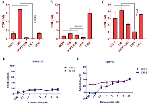 Figure 5. The in vitro effect of compounds CH-1 and CH-2 on lung cancer cells and normal cells. The cytotoxicity of compounds CH-1 and CH-2 on H460 (A), H1975 (B), and HCC827 (C) cells was dose-dependent. The compounds CH-1 and CH-2 had little toxicity to BEAS-2B and HUVEC cells (D and E).