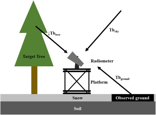Figure 1. The configuration of the radiometer observation experiment (Li et al. Citation2019).