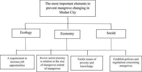 Figure 4. Hierarchical structure chart to determine the most important elements to prevent mangrove changing in Medan City.