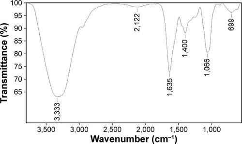Figure 3 FTIR spectrum of biosynthesized AgNPs.Abbreviations: AgNPs, silver nanoparticles; FTIR, Fourier transform infrared spectroscopy.