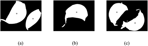 Figure 8. The results of morphological openings: (a) opening result for Figure 7(a), (b) opening result for Figure 7(b), and (c) opening result for Figure 7(c).