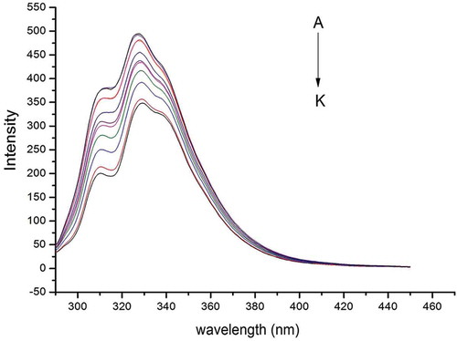 Figure 3. Fluorescence emission spectra (λex = 280 nm) obtained in the presence of increasing concentrations of litchi pericarp anthocyanins (LPA) at temperature of 298 K in the presence of gliadins: A, C – gliadins concentration of 5 × 10–6 mol/L; for B-K the ratio LPA/gliadins was 2, 4, 6, 8, 10, 12, 14, 16, 18, 20.