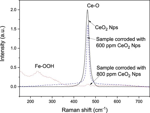 Figure 11. Raman spectrum of pure CeO2 NPs and LDX 2101 duplex stainless steel corroded in a CO2-saturated 3.5% NaCl solution containing 600 and 800 ppm of CeO2 NPs.