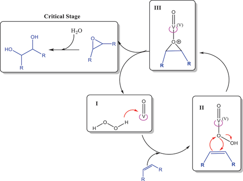 Figure 7. Proposed reaction mechanism for epoxidation and ring-opening of some epoxides. Steps: (I) Activation of hydrogen peroxide by coordination of the oxo-vanadium unit (II) back donation of the oxygen to the olefin (III) formation of the oxirane ring.