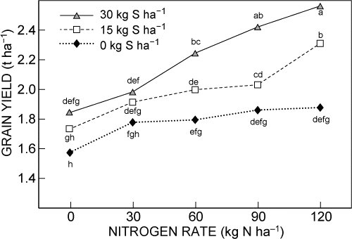 Figure 4: Effect of nitrogen and sulphur fertilisation rates on canola yields in the 2011 season