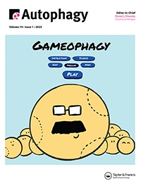Cover image for Autophagy, Volume 19, Issue 1, 2023