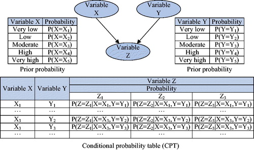 Figure 2. Representation of a simple BN model.