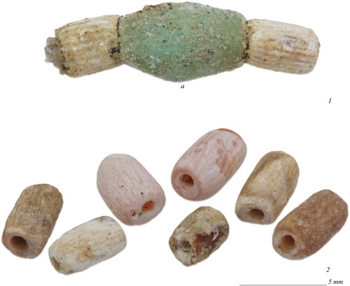 Figure 3. Examples of coral and glass beads from Tomb N1-3: 1) beads BE21-144-014-027_F473 (a — glass); 2) beads BE21-144-014-027_F474-480 (photographs by J. Then-Obłuska and the Berenike Project).